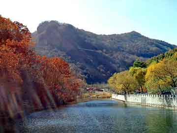 澳门二四六天天彩图库，东风景逸论坛